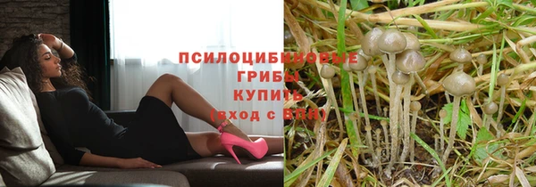 СК Алзамай