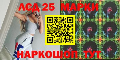 стаф Сланцы