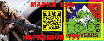 стаф Сланцы