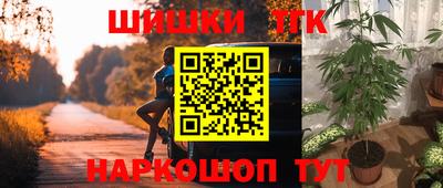 стаф Сланцы