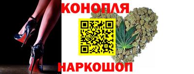 стаф Сланцы