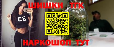 стаф Сланцы